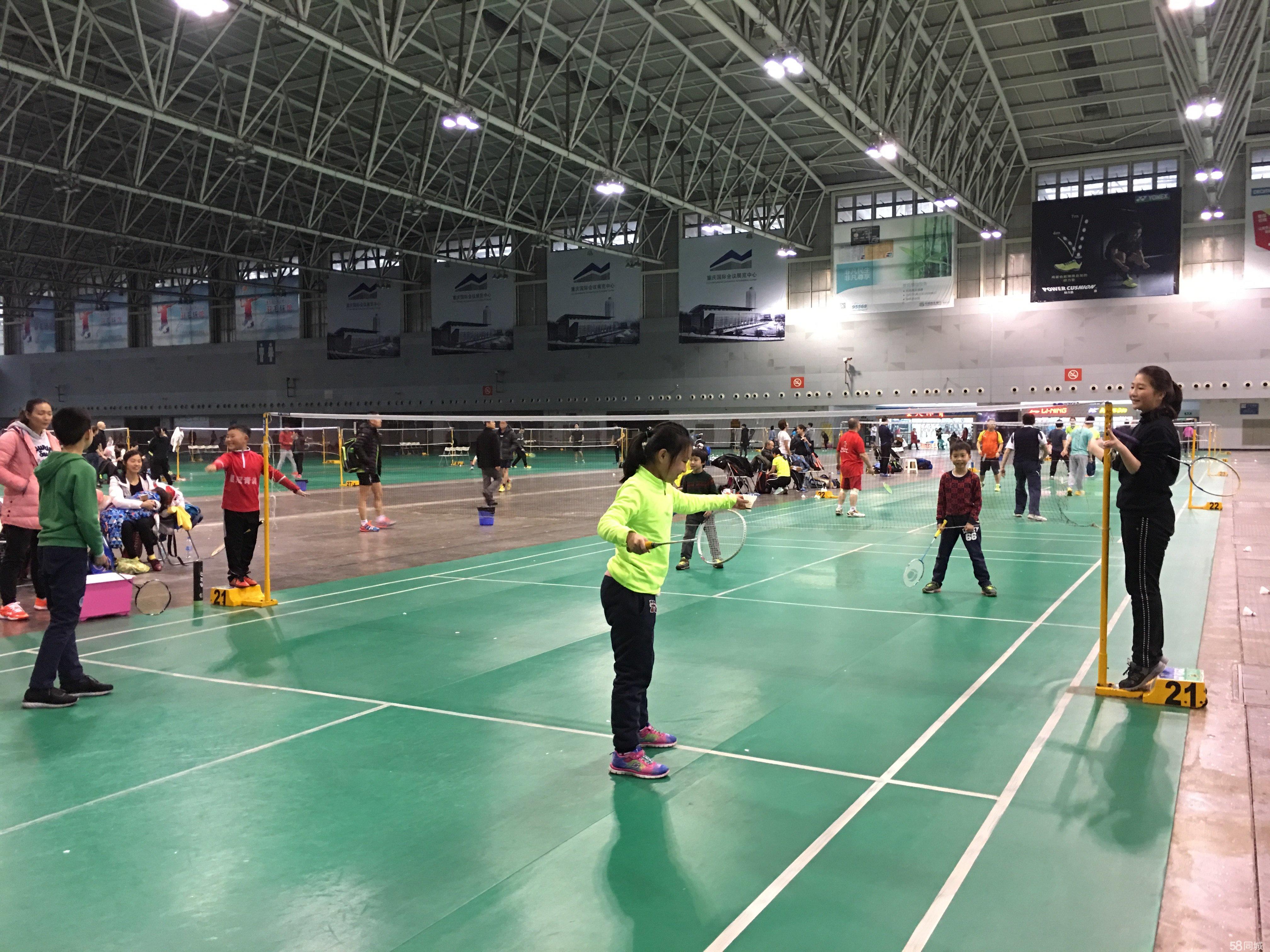 中国女排 中国女排