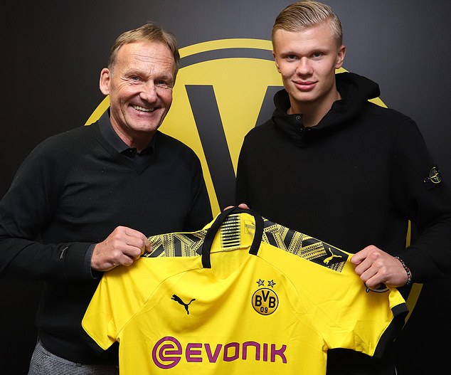 选手声誉将 选手声誉将